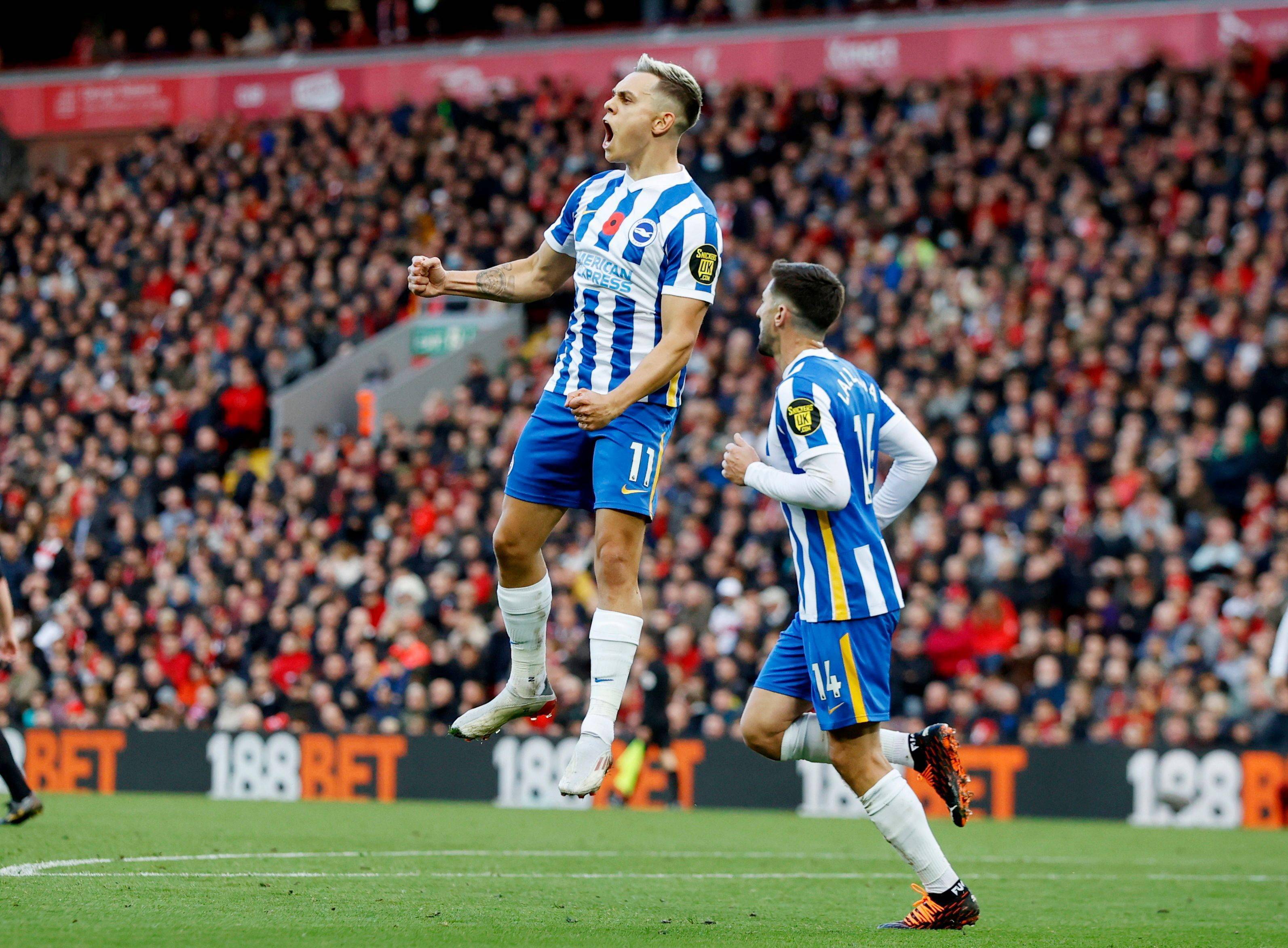 棋国手赛本 棋国手赛本